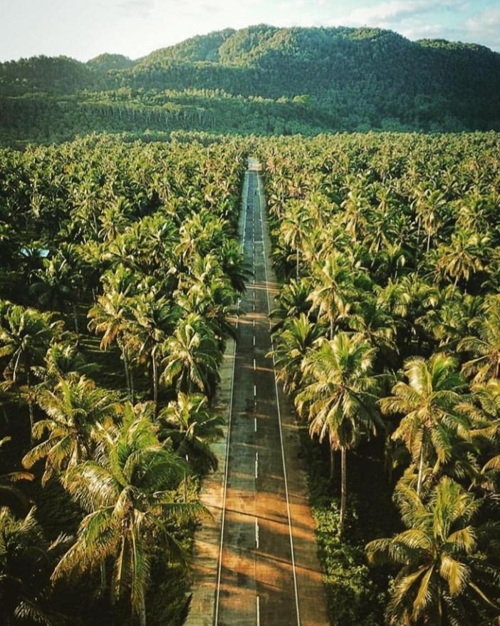 ホテル"Triangle Hut" Camp Fuego Siargao Catangnan エクステリア 写真